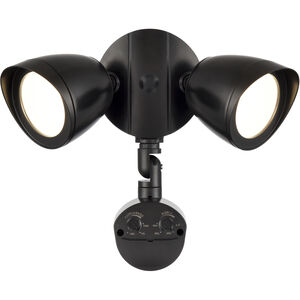 Twin Head 2 Light 10.50 inch Outdoor Wall Light